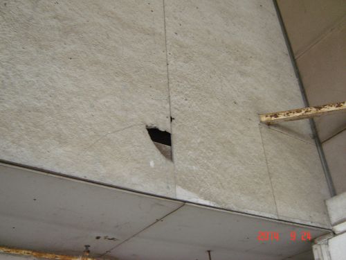 Is an asbestos survey expensive?